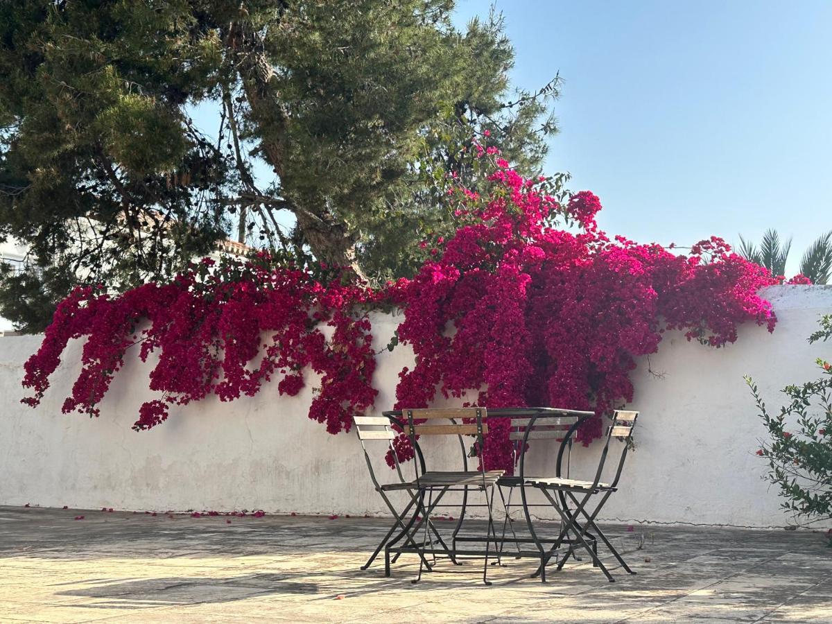 Two Olive Trees Guest House Spetses Town Bagian luar foto